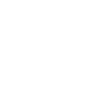 At home health aide